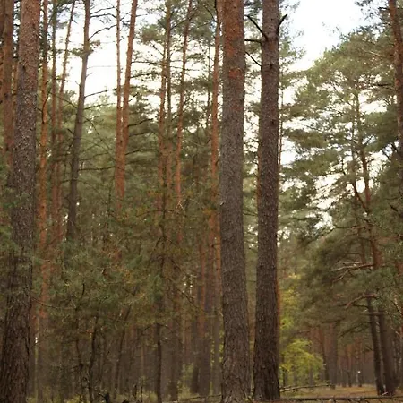 Jedrusiowa Chata Wielen